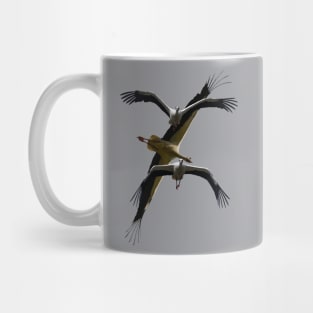 Stork Aerodynamics - Flying Poses Vector Art Mug